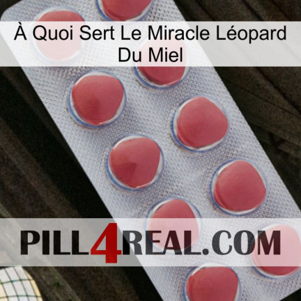 À Quoi Sert Le Miracle Léopard Du Miel 18
